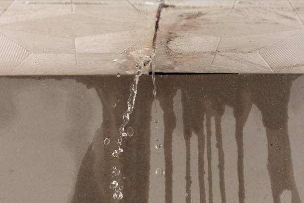 Professional Structural Drying technician working in Danevang, TX